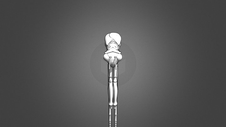 Giant Mantis 3D Model