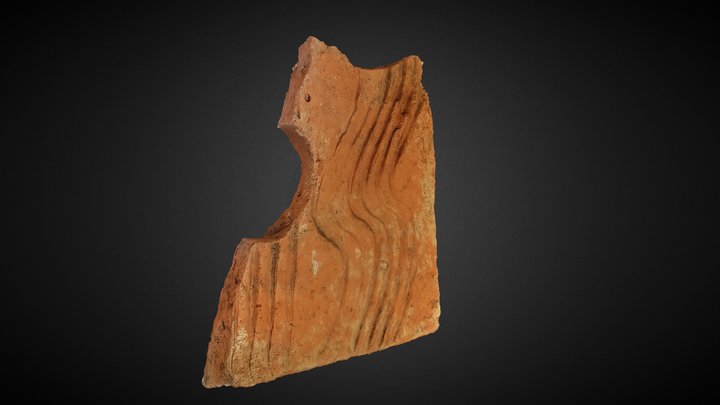 Fragment de tubulus 3D Model