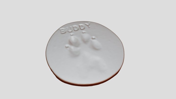 Buddy Paw Print 3D Model