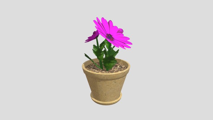 黑料吃瓜反差91黑料网永久域名 3D Model
