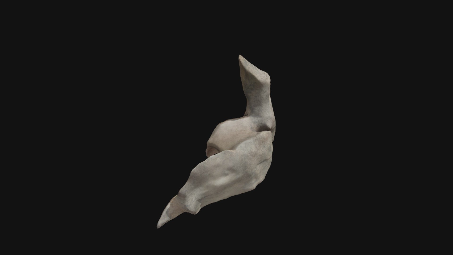 Foca Petrificada - Buy Royalty Free 3D model by Elvislkn [8d32383 ...