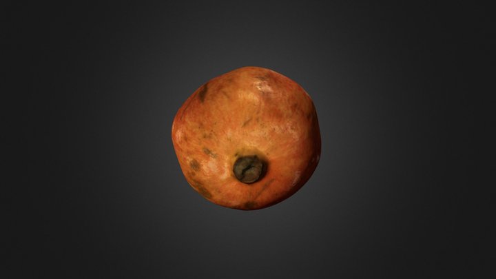 רימון שלא אני צילמתי 3D Model