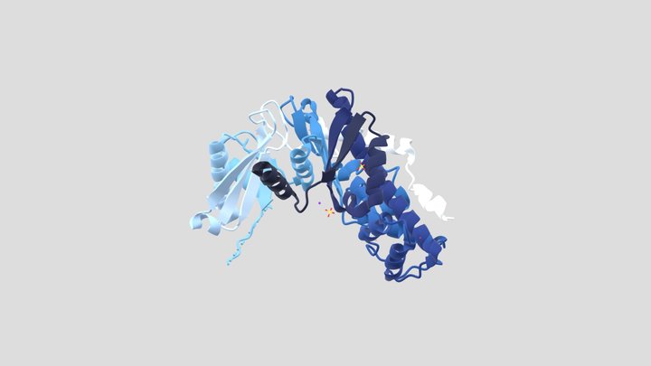 Glucokinase 3D Model