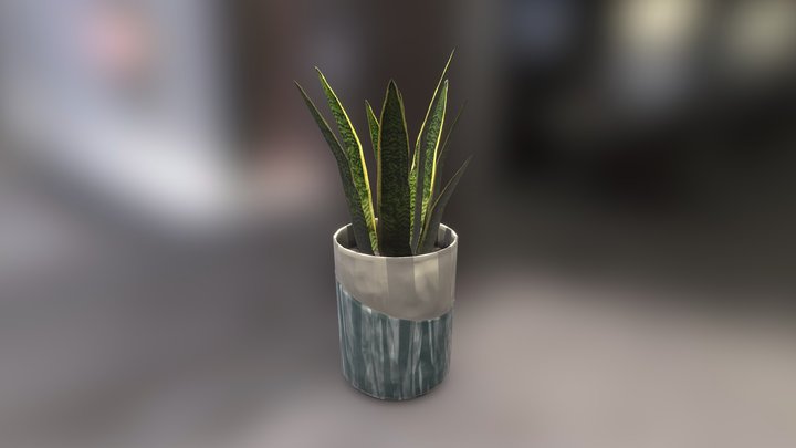 potted_plant 3D Model