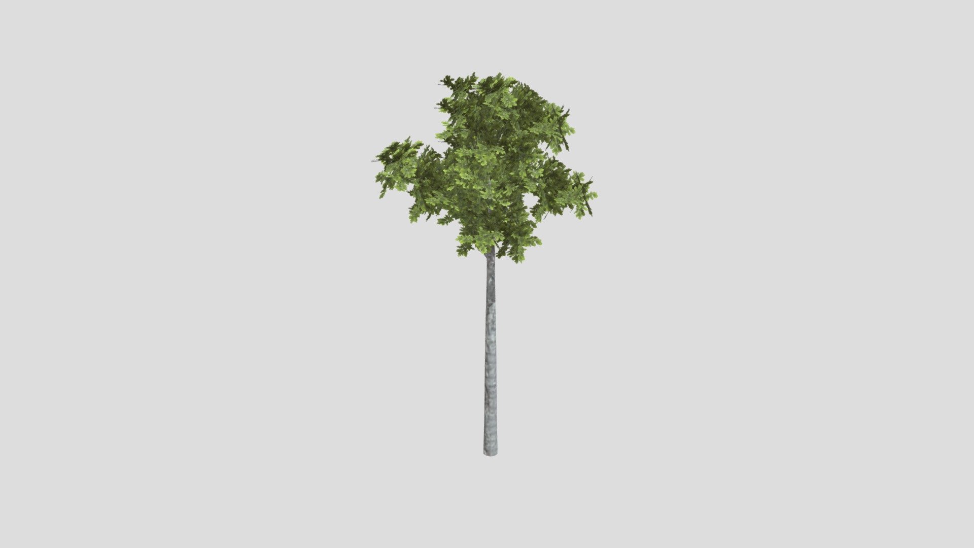Tree3