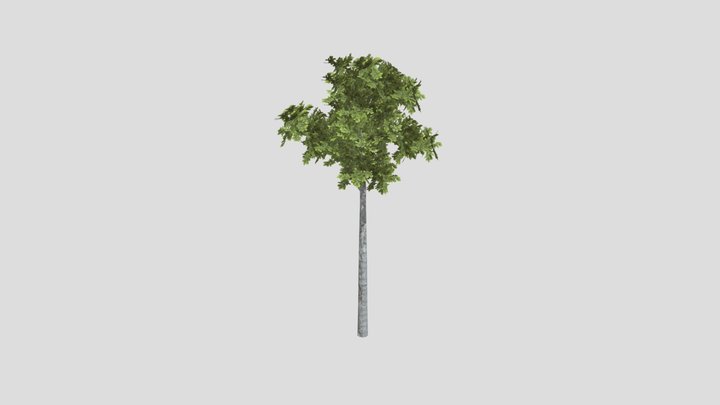 Tree3 3D Model