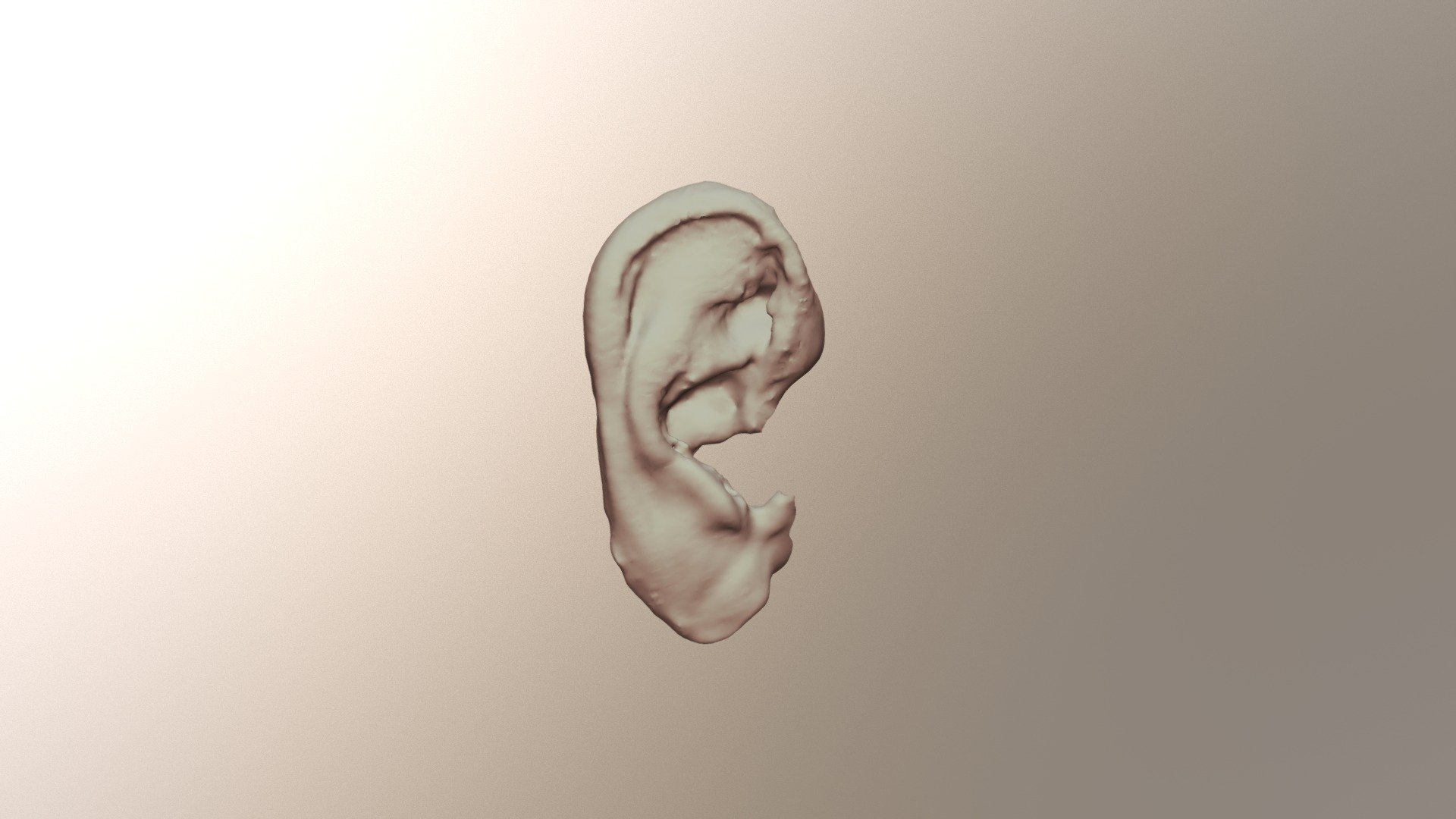 Ear Prosthesis - 3D model by LEMANTEK (@guillaume.cabrie.p) [8d433bd ...