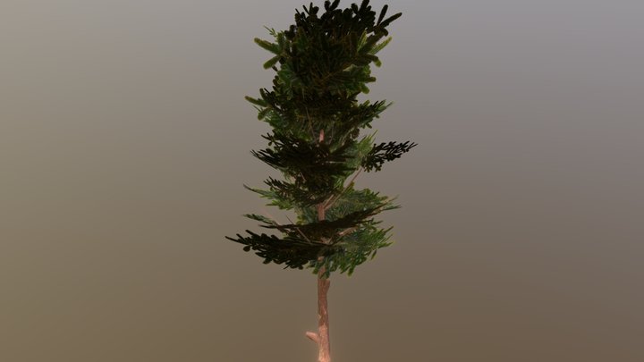 Conifer Tree Low-Poly (mobile)