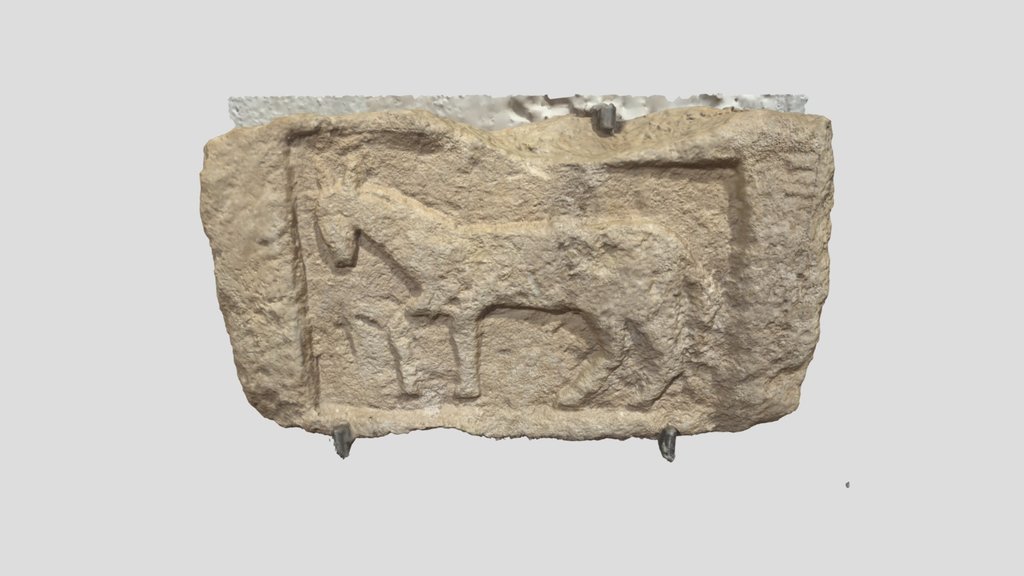 Placa rectangular figura de caballo.