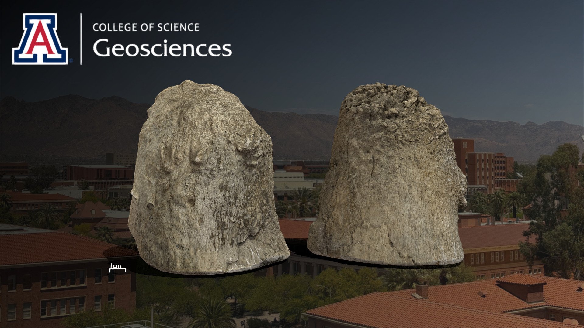Brontops Spp. Horns (Marsh 1887) - 3D model by DM (@DM-UoA) [8d4adeb ...
