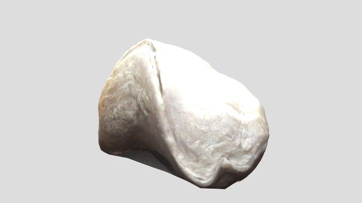usdz 3D Model