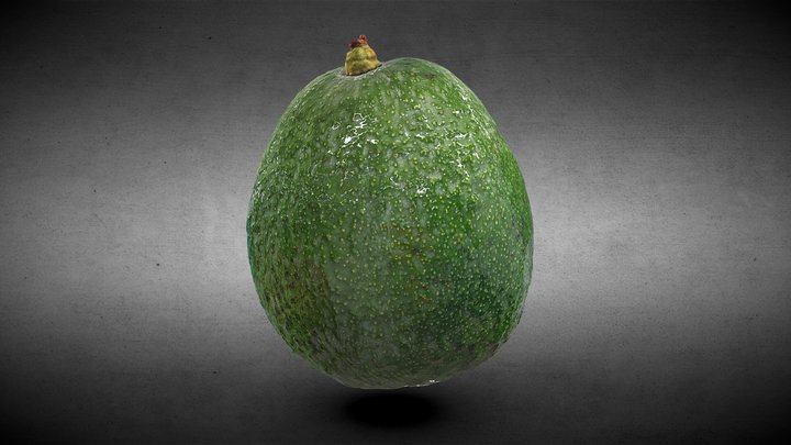 avocado – Free 3D Model STL