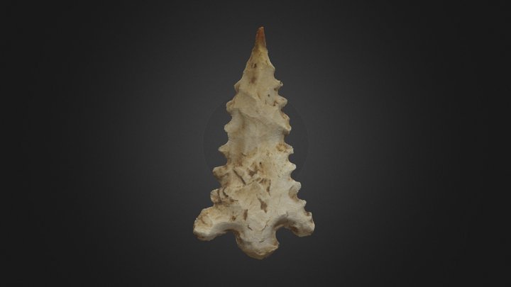 Alba Lithic Point 3D Model