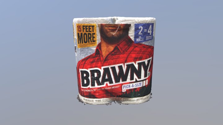 Brawny_3.1.2019_Inside 3D Model