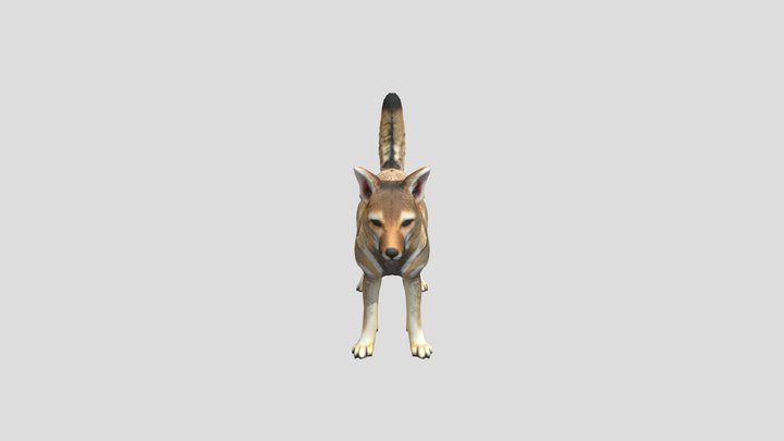 Pampas Fox – Modello 3D gratuito STL