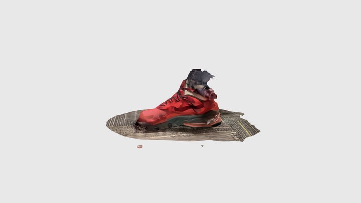 Nike shoe 3D Model