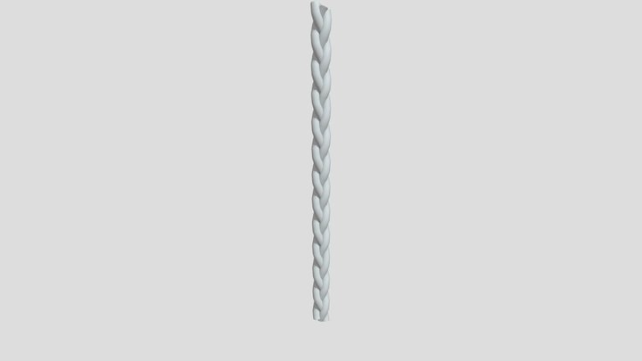 Braid Model 3D Model