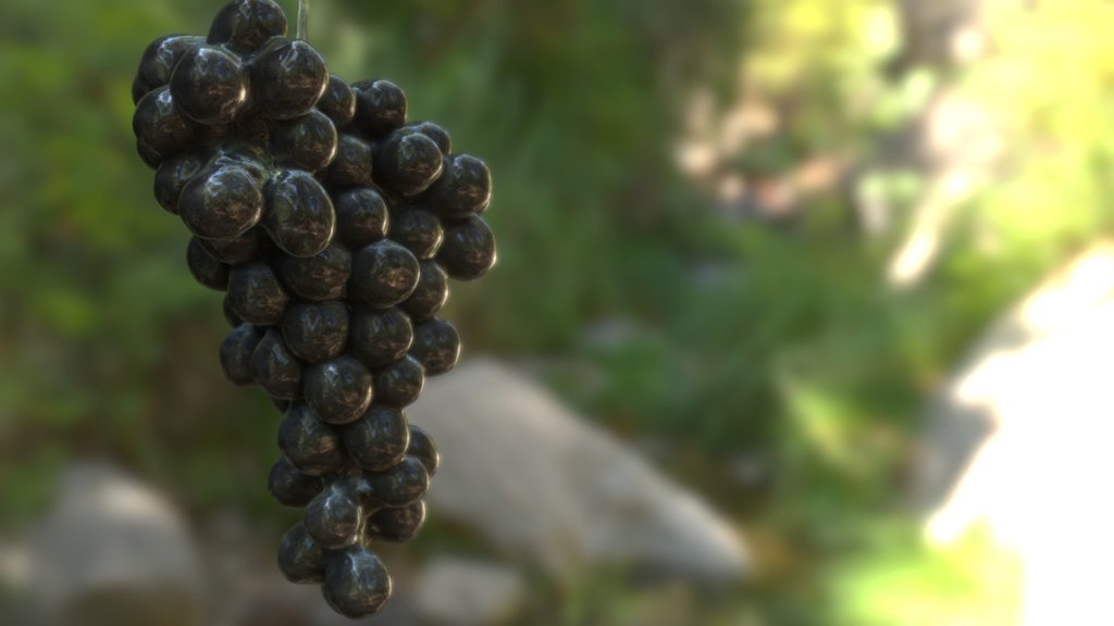 Grapes