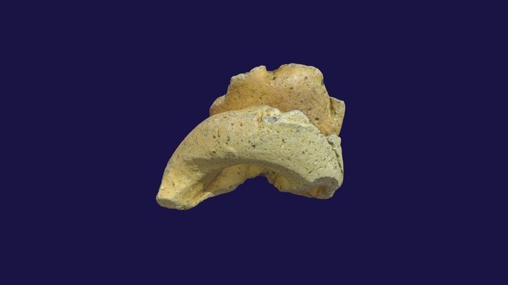 P00470 3D Model