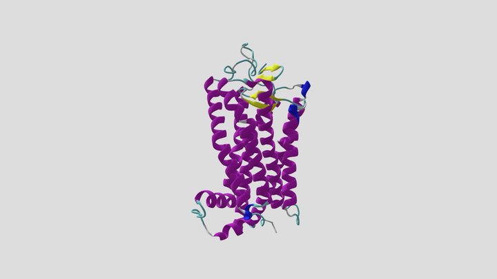 Rhodopsin 3D Model