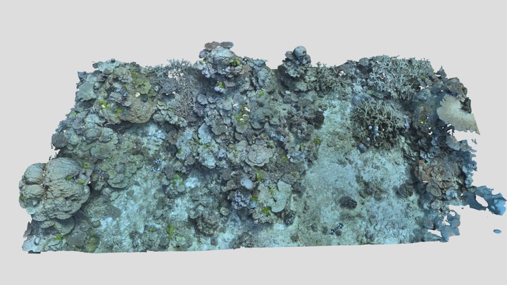 Heron_FR2D_P4_202105 3D Model