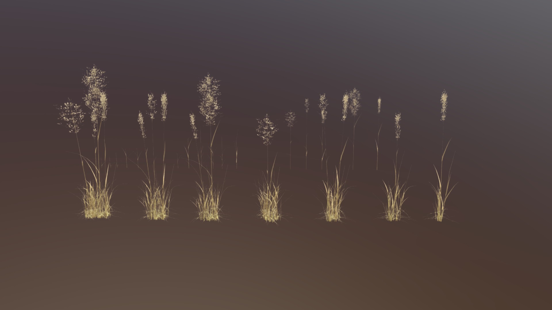 3D model Bent Grass Dry Pack - This is a 3D model of the Bent Grass Dry Pack. The 3D model is about a group of plants with flowers.