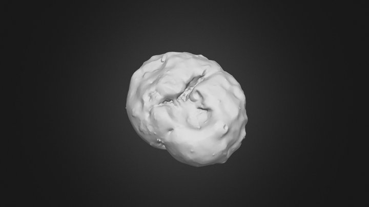 20250114_hailstone_7 3D Model