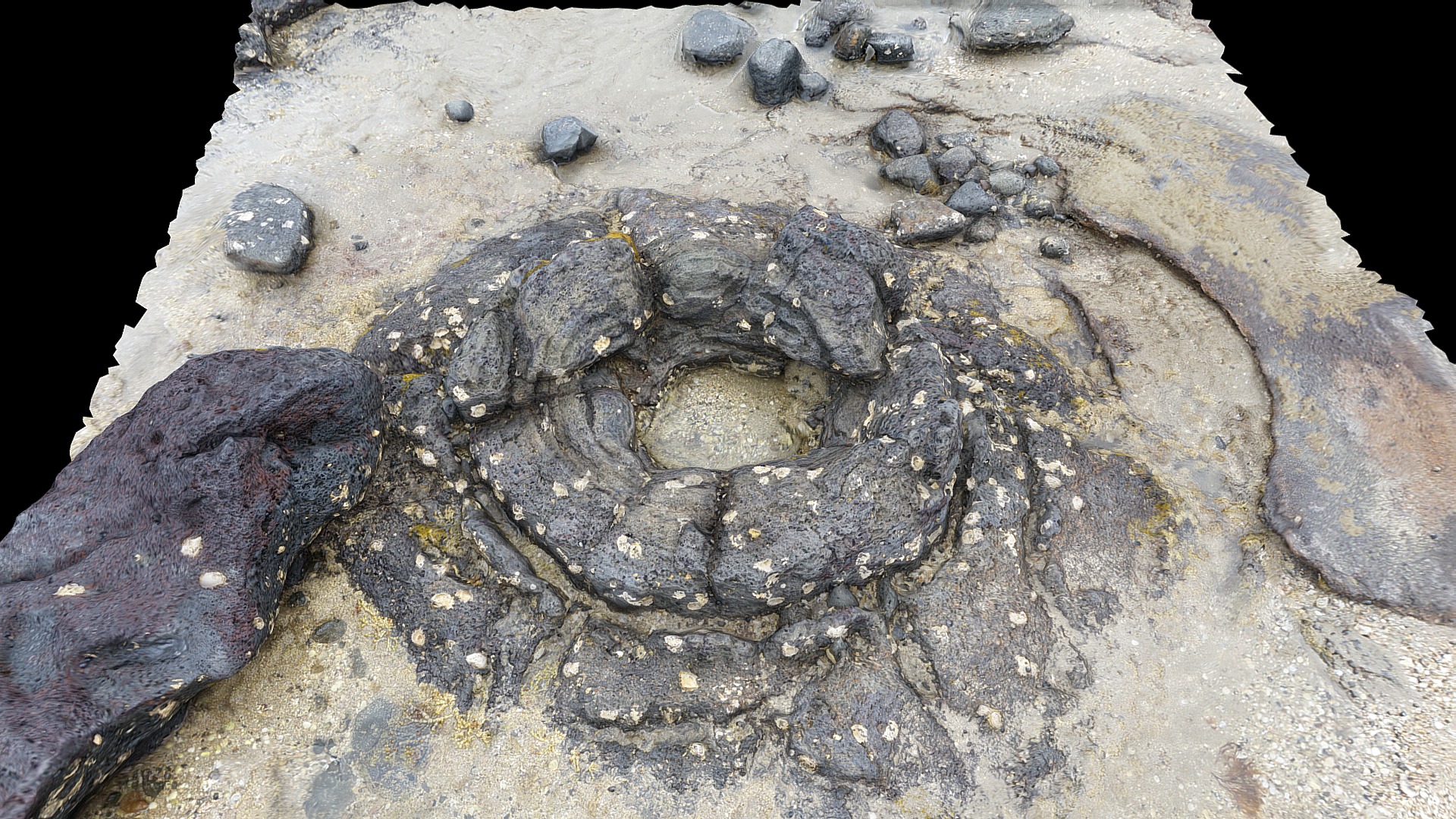 Lava tree cast at Takapuna 2 - Download Free 3D model by b_nealie ...