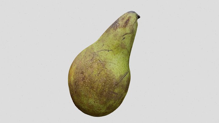 Conference Pear Photogrammetry RAW 3D Model