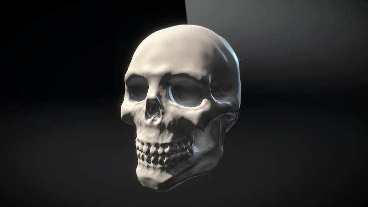 Skull 01 (sketch) 3D Model