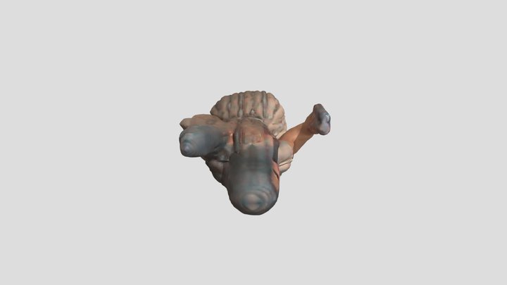 Linda Karmra 3D Model