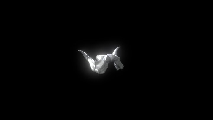 horn_test 3D Model