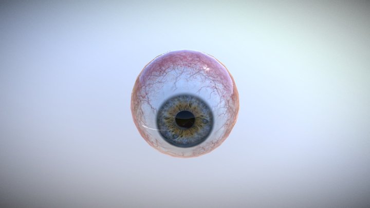 Blue-eyeball 3D Model