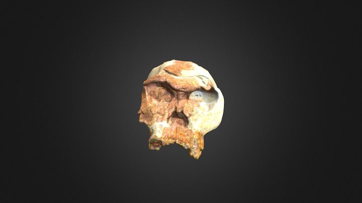 OH 24 3D Model