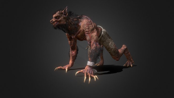 Wolf  (test_ animation) 3D Model