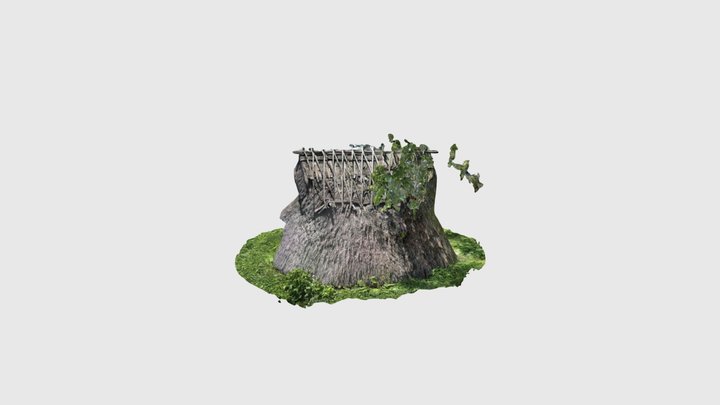 殿村遺跡 3D Model