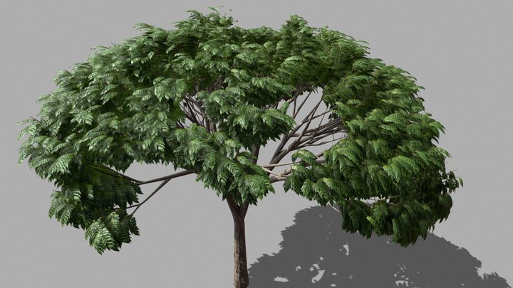 Realistic Jungle Tree (Avatar) 3D Model