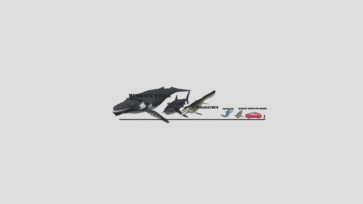 Untitled 3D Model