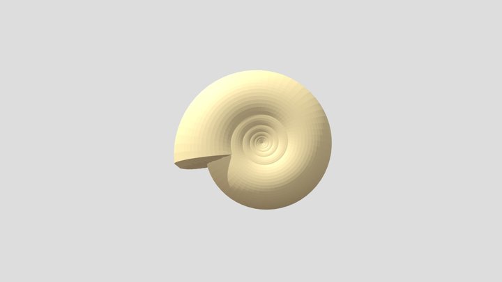 Nautilus 3D Model