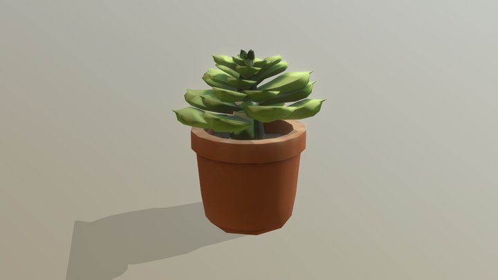 Echeveria_01 3D Model