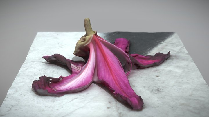 Flower – Free 3D Model STL