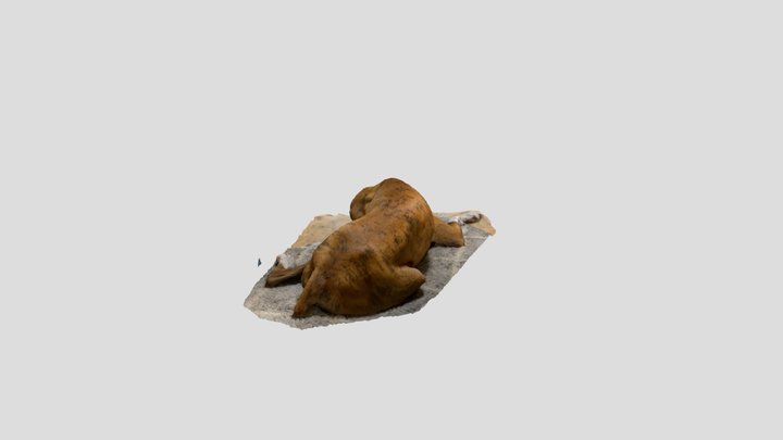 Interpreter connect 2 3D Model