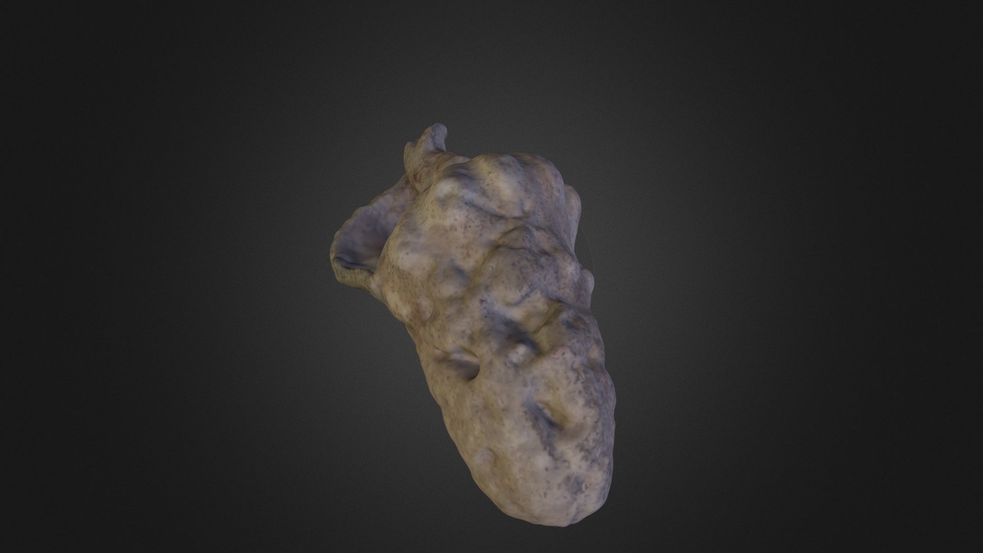 rocky shell - Download Free 3D model by xef6 [8d900a5] - Sketchfab