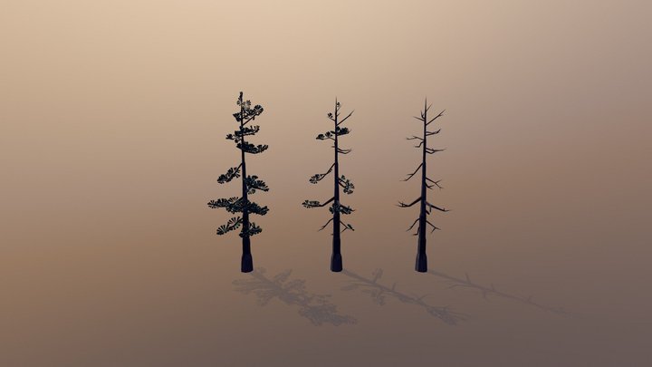 Old Pine Tree (Low Poly) – Free 3D Model STL