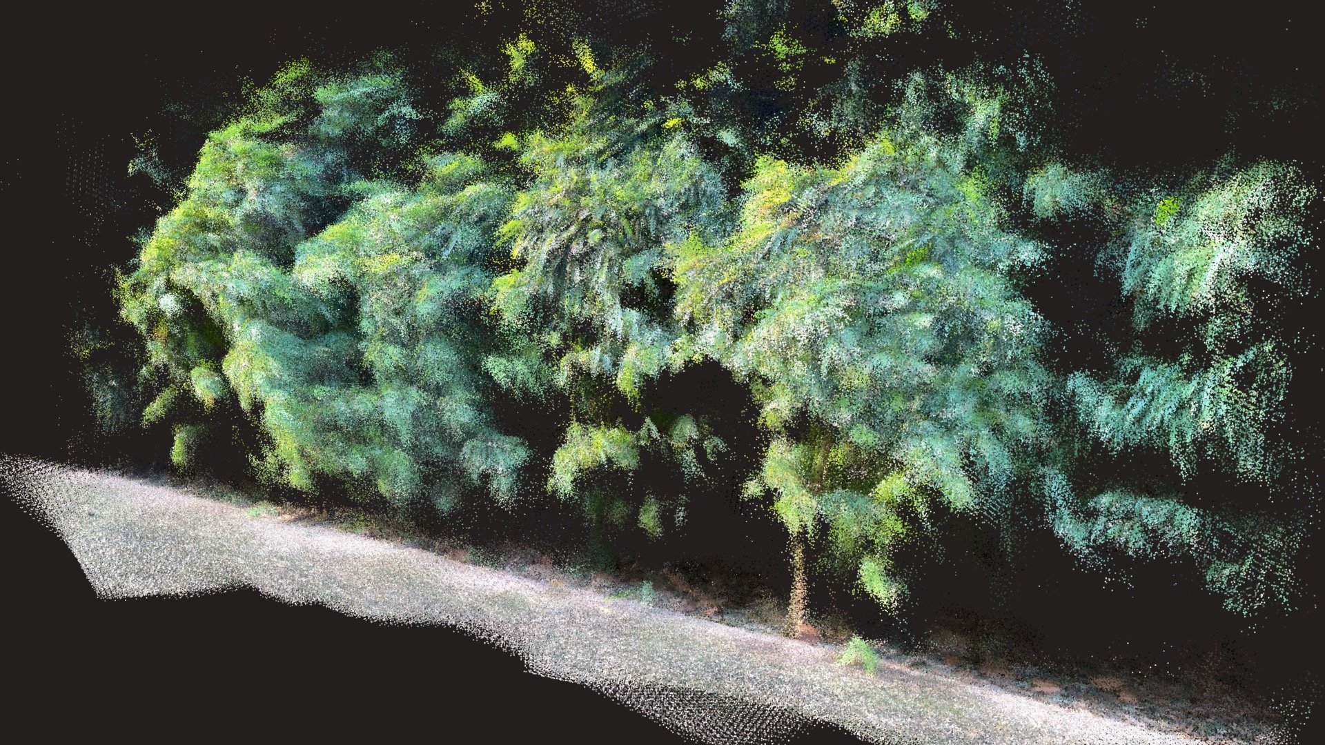 Plant Cloud