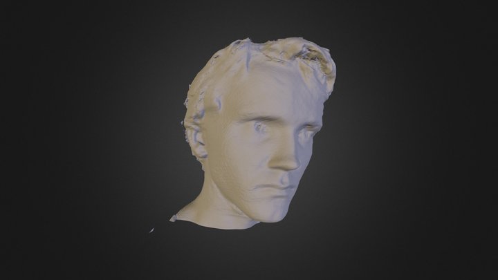 Kinect v2 Face Scan Test 3D Model
