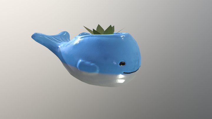 Whale Pot