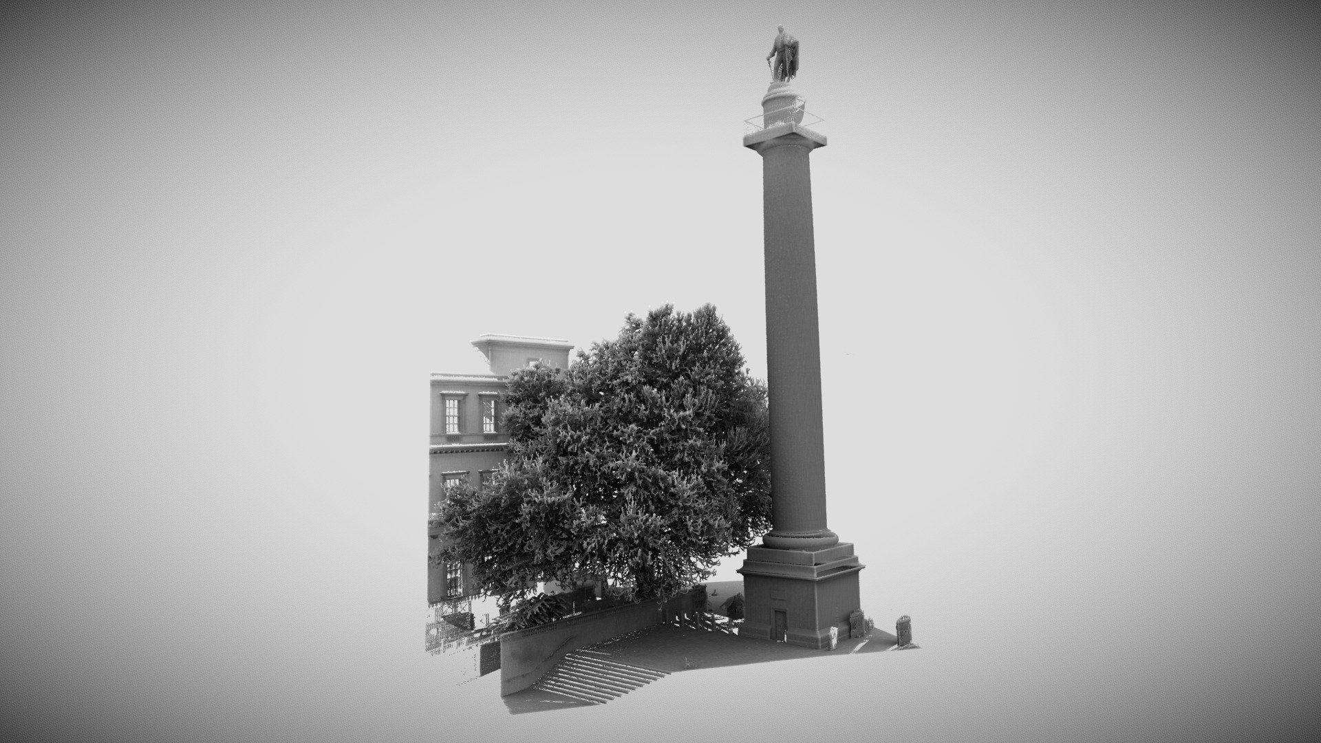 Plane tree and the Duke of York monument