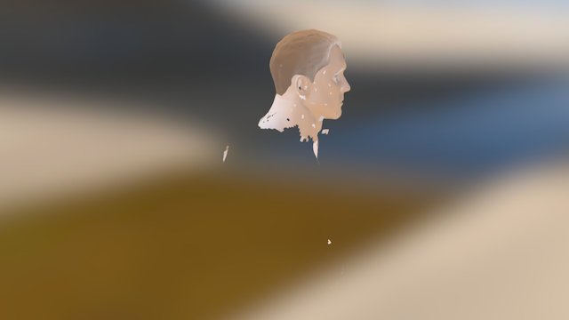 Cara 3D Model