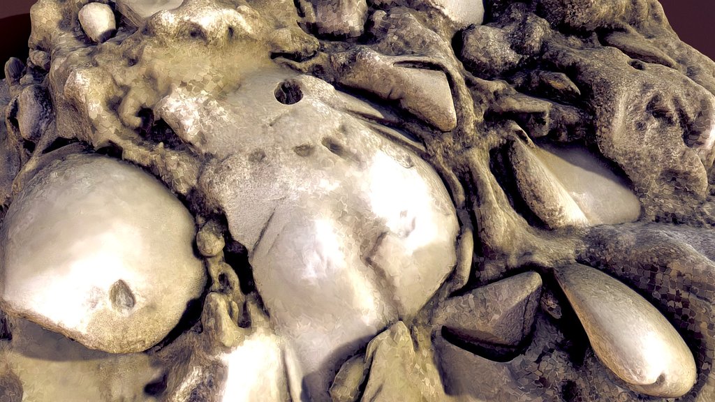 Circular Fossils in Stone
